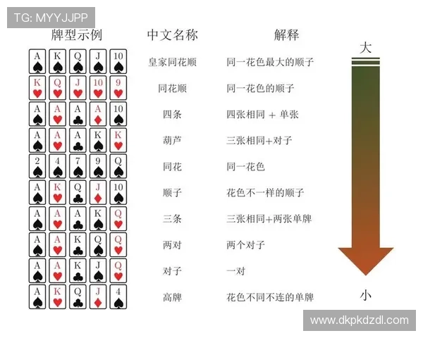 全面解析扑克牌德州发牌流程让新手快速入门掌握游戏规则与策略